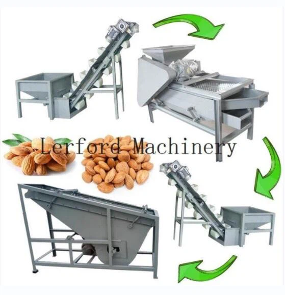 walnut sorting machine walnut sorting machine
