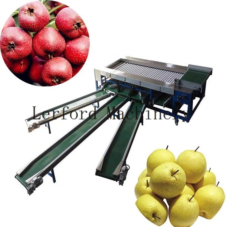 blueberry sorting machine