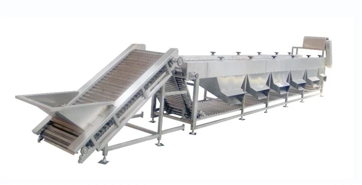 Blueberry Grading Machine