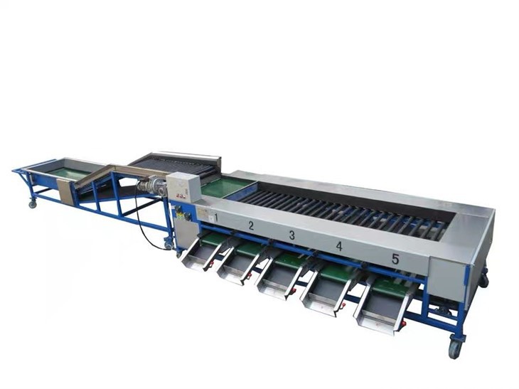 Fruit Sorting Systems